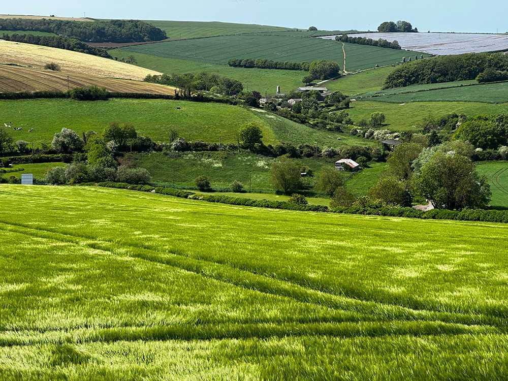 Stunning views of the dorset countryside as taken from the southern ramparts of Maiden Castle!